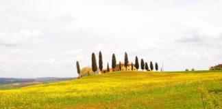 un fine settimana nel chianti