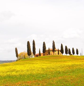 un fine settimana nel chianti