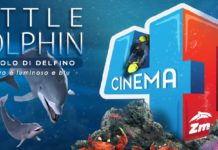 little-dolphin-zoomarine