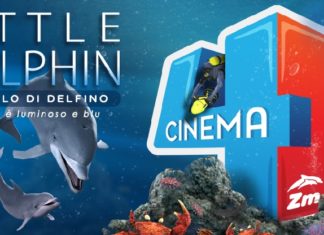 little-dolphin-zoomarine