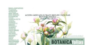 botanica folias eventi roma
