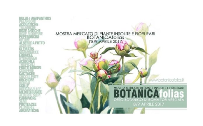 botanica folias eventi roma