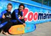 surf flowrider zoomarine