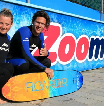 surf flowrider zoomarine