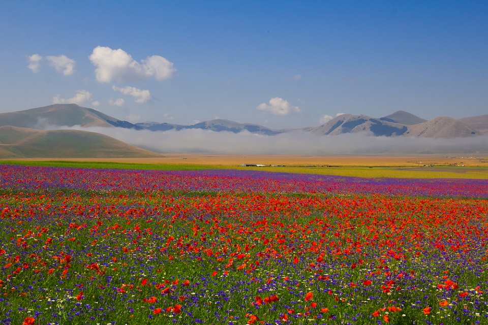 castelluccio di norcia 100tour