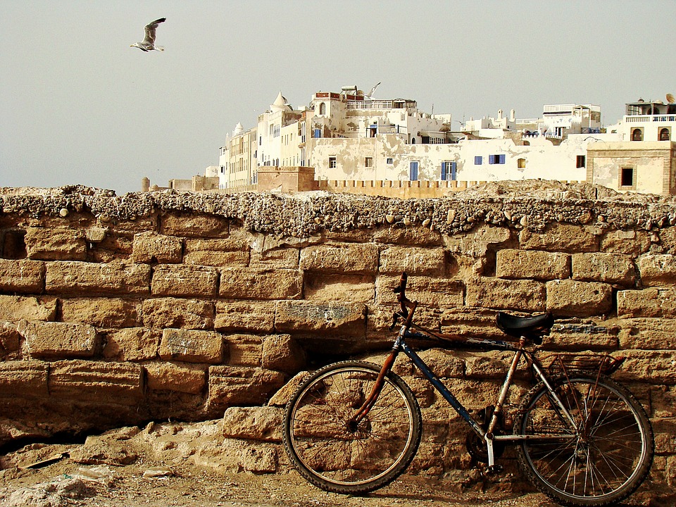 Marocco, dove le capre si arrampicano sugli alberi