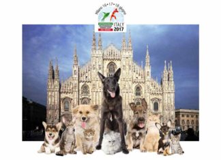 la settimana del cane milano 100tour