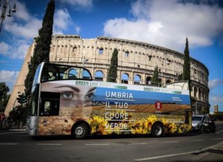 Umbria il tuo cuore verde