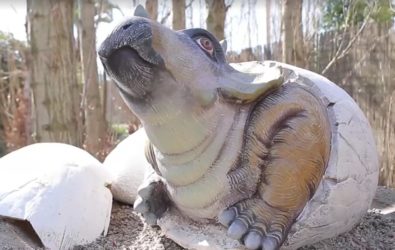 cuccioli di dinosauro zoomarine