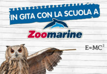 zoomarine