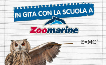 zoomarine