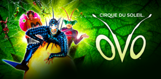 OVO cirque du soleil