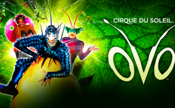 OVO cirque du soleil