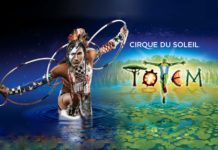 totem cirque du soleil